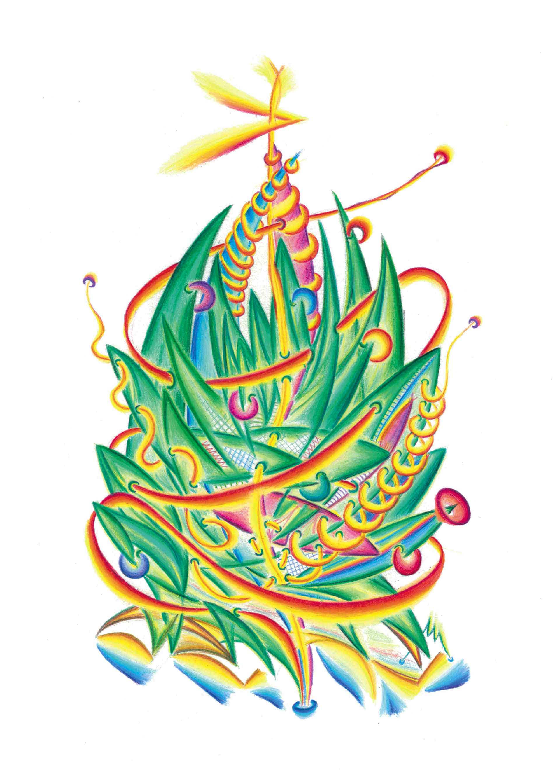 l'Albero di Natale e le sue Stelle